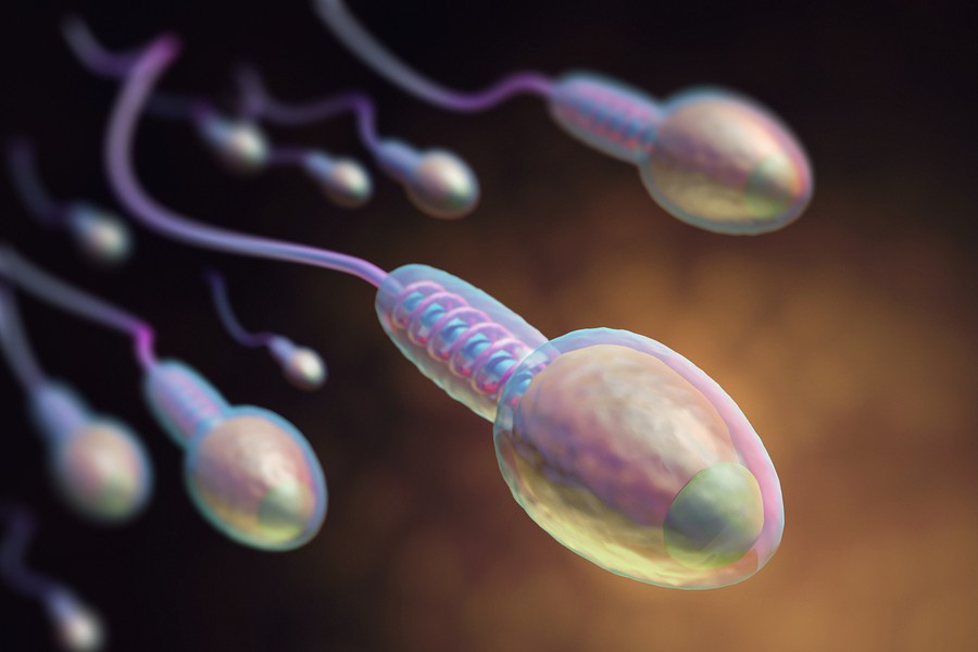 Espermatozoides creados en laboratorio