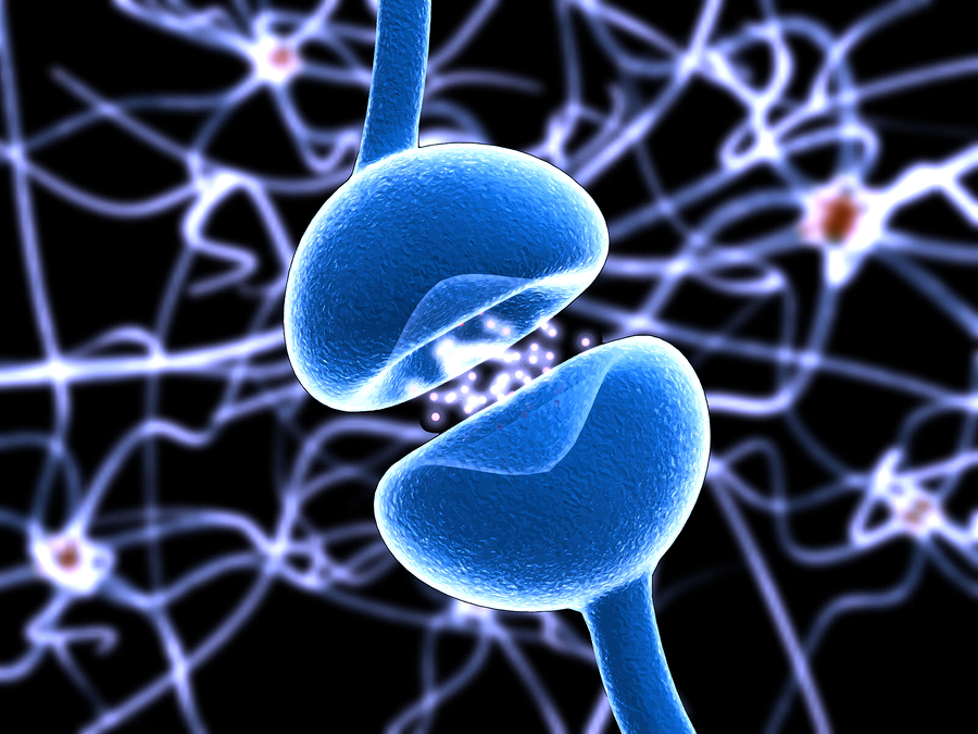 Neuronas-Serotonina