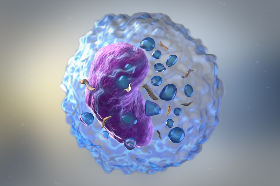 Celulas-T-Convencionales-Reguladoras-Enfermedades-Autoinmunes