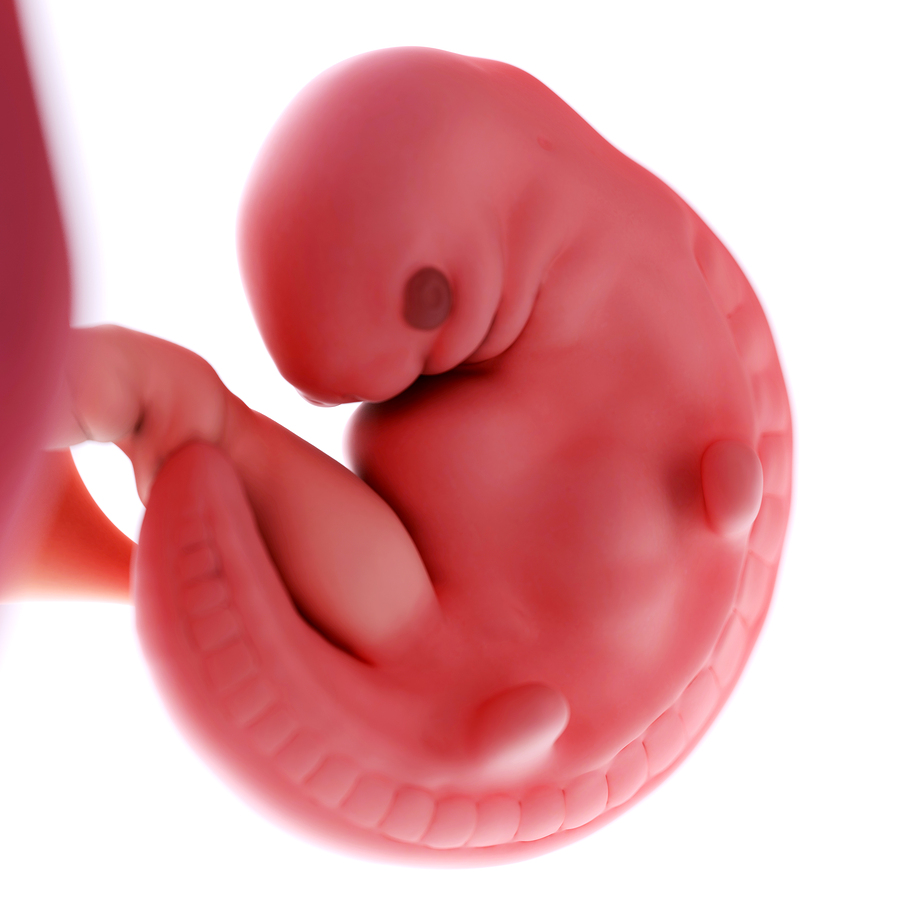 Embriones-Humanos-Modificados-VIH