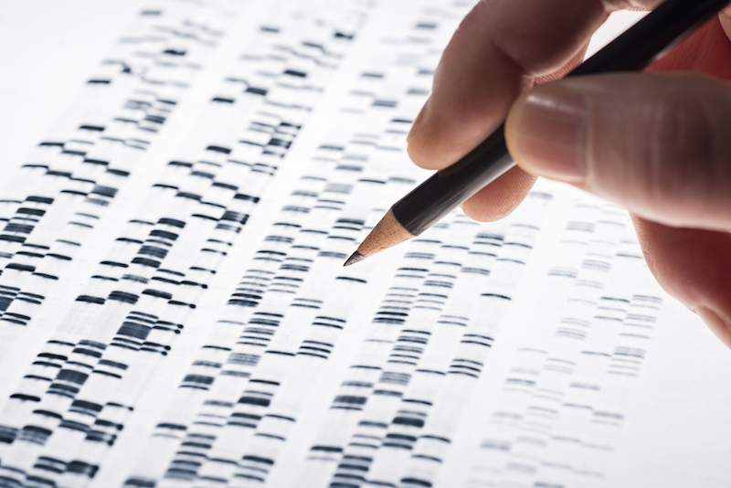 Secuencia-Genomica-Genoma