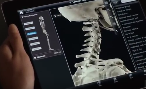 Skeleton-System-Pro-III-Sistema-Oseo-Aplicaciom-Medica