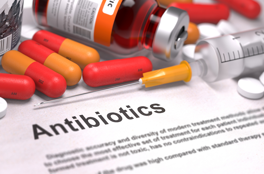 antibióticos