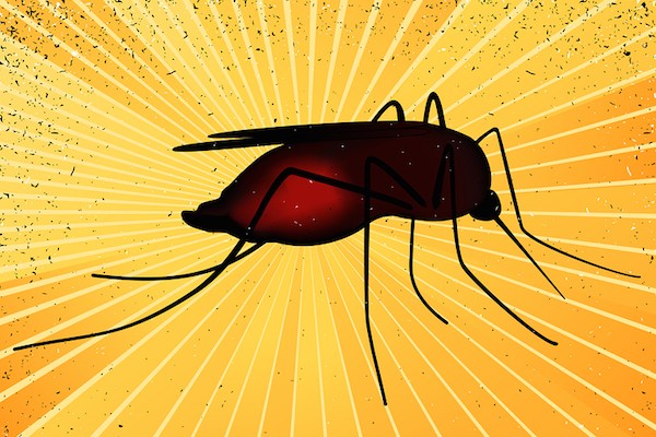 Fiebre-Amarilla-Mosquitos-Epidemia