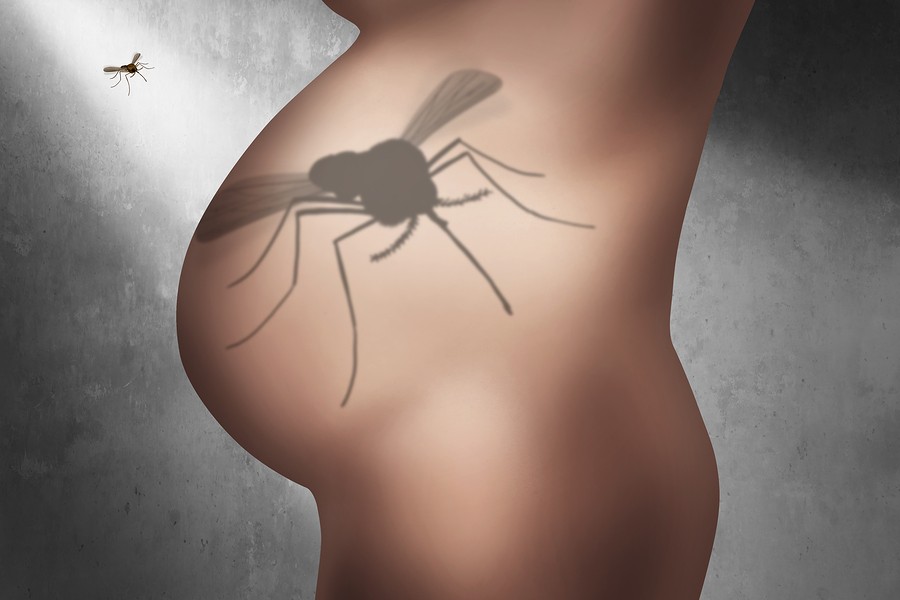Virus-Zika-Mosquitos-Mujeres-Embarazadas