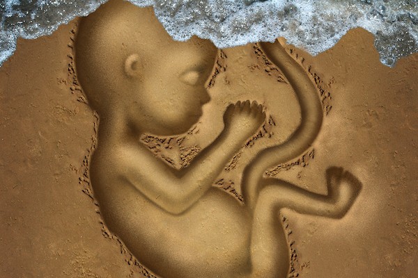 Aborto-Interrupcion-Embarazo