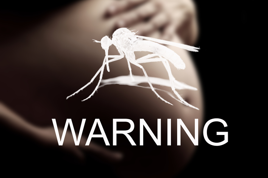 Mujeres-Embarazadas-Zika-Picaduras-Mosquitos