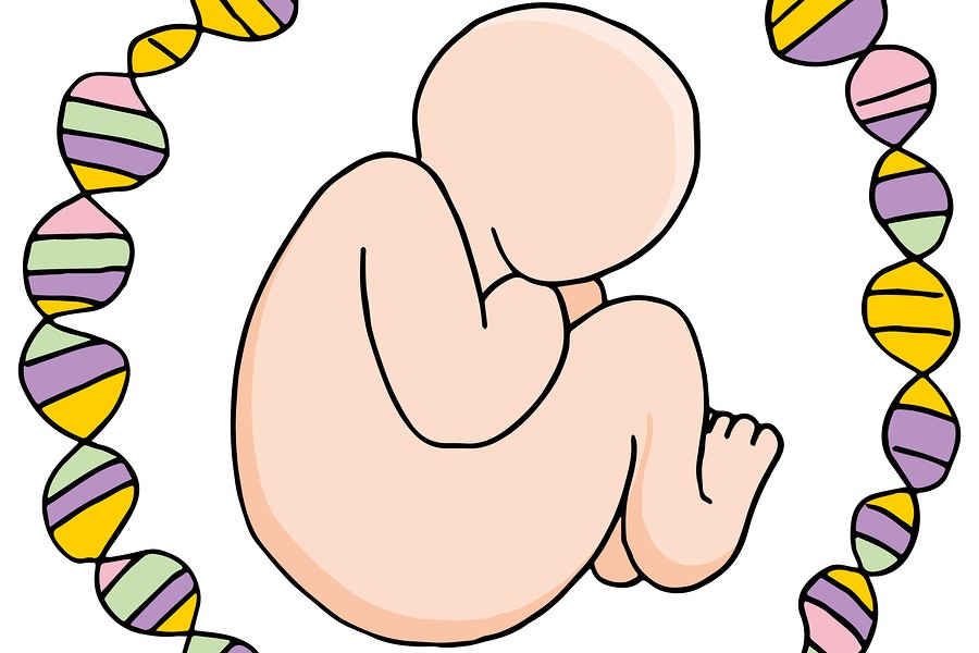 Genoma-Bebes-Recien-Nacidos-Fetos