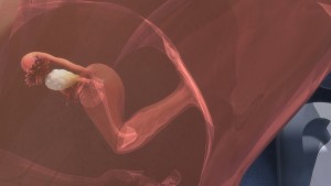 Ovarios-Salud-Femenina-Aparato-Reproductor-Femenino